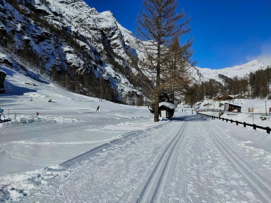 Appartement Trilocale 75 mq.partenza seggiovia Jolanda Trinité à Gressoney-la-Trinité Extérieur photo