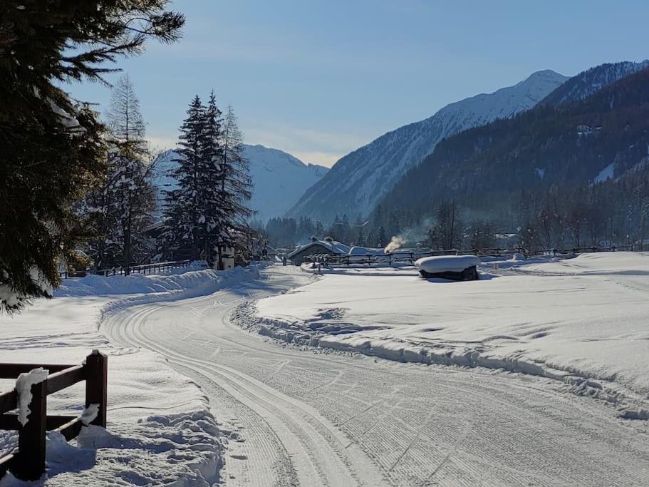 Appartement Trilocale 75 mq.partenza seggiovia Jolanda Trinité à Gressoney-la-Trinité Extérieur photo