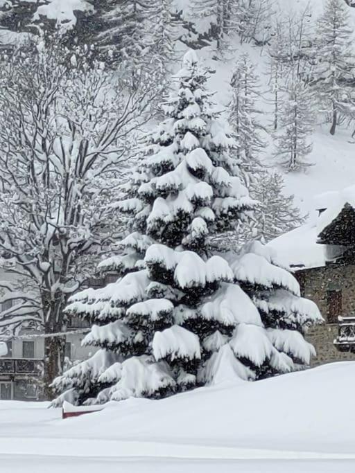 Appartement Trilocale 75 mq.partenza seggiovia Jolanda Trinité à Gressoney-la-Trinité Extérieur photo