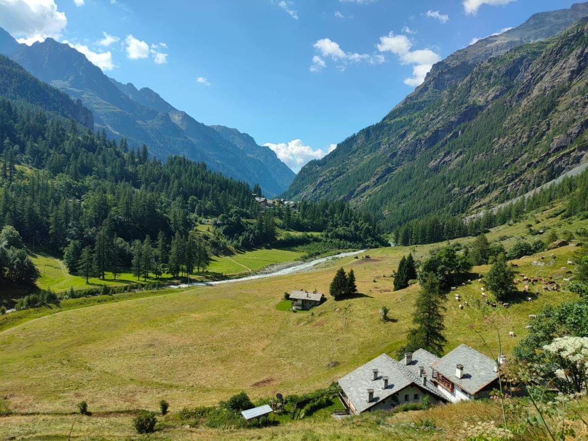 Appartement Trilocale 75 mq.partenza seggiovia Jolanda Trinité à Gressoney-la-Trinité Extérieur photo