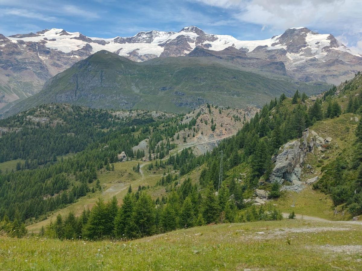 Appartement Trilocale 75 mq.partenza seggiovia Jolanda Trinité à Gressoney-la-Trinité Extérieur photo